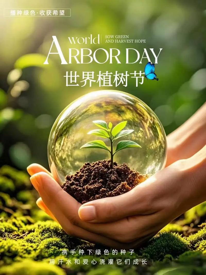 ����ֲ�九����N�Ĳ�ֻ�ǘ䣬߀��ϣ��������